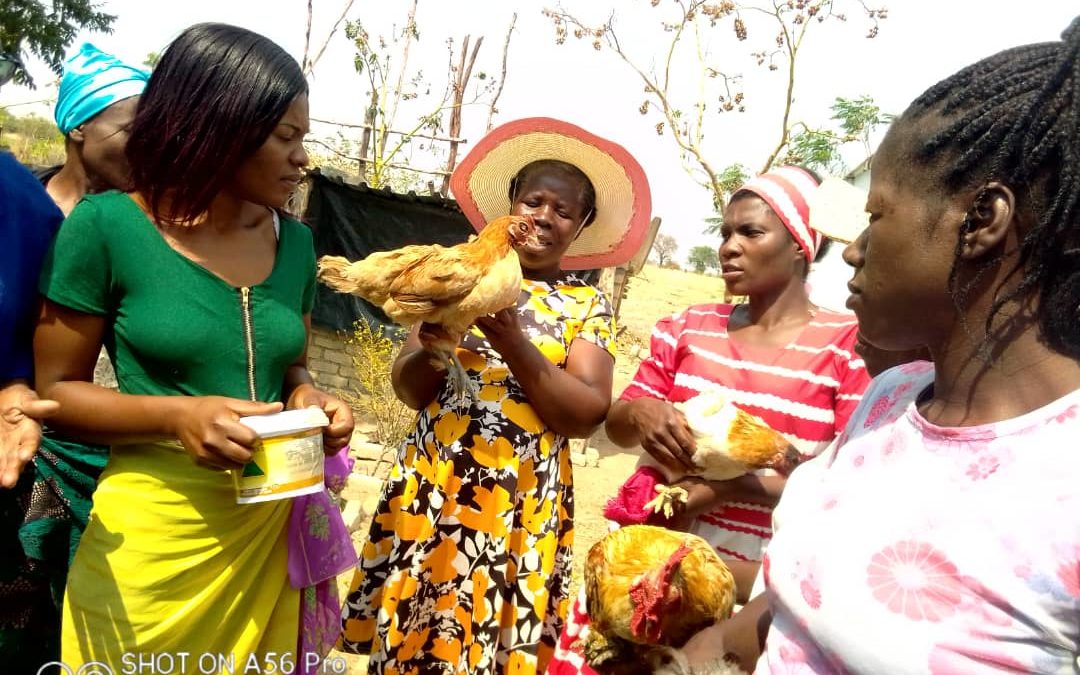 The Female Livelihood Project is progressing